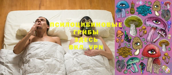 таблы Алзамай