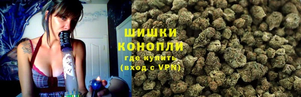 трава Алексин