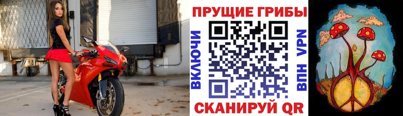 Псилоцибиновые грибы MAGIC MUSHROOMS  Балашиха 